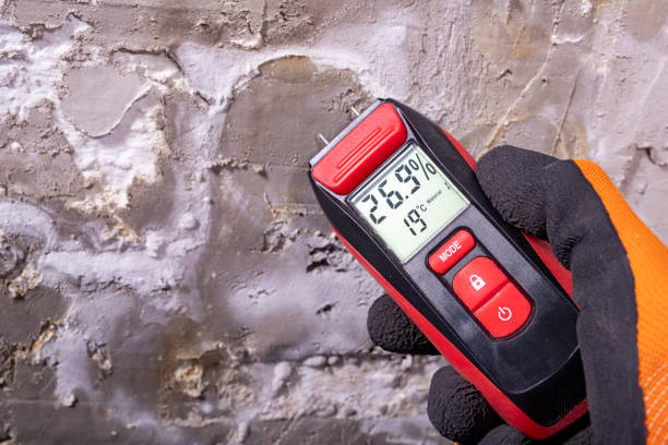 Best Mold Remediation for Specific Building Types in Mehlville, MO